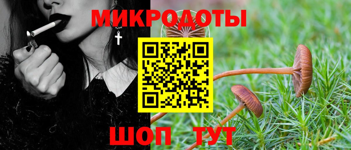 Рузаевка  Галлюциногенные грибы ЛСД  Вход с VPN 