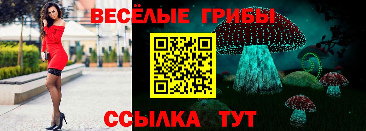 Псилоцибиновые грибы мухоморы Рузаевка